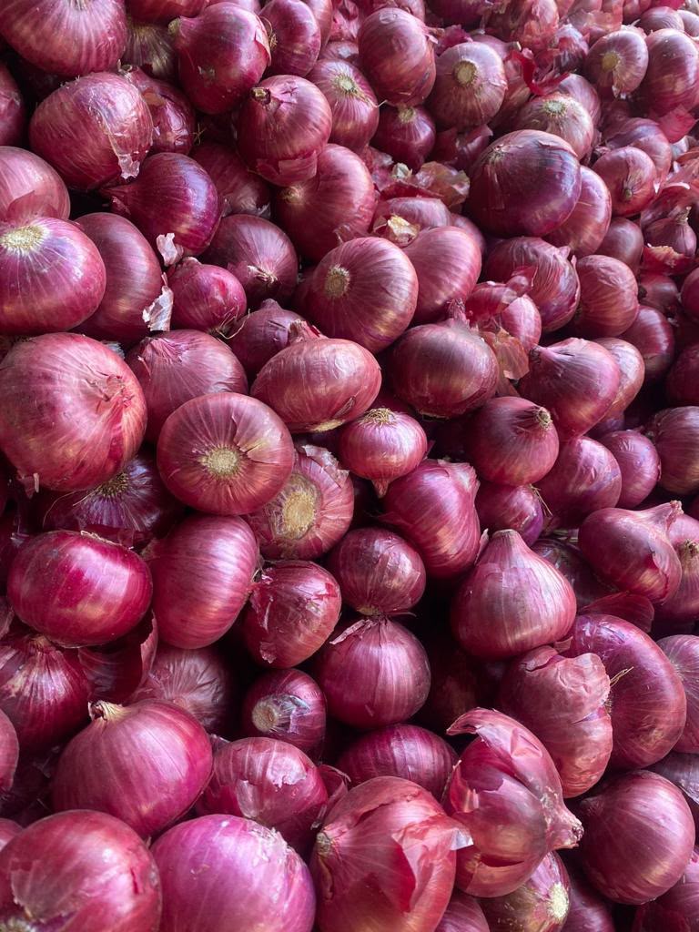 Fresh red onions close-up